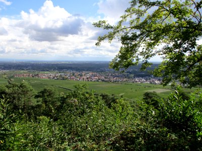 20201010Deidesheim3