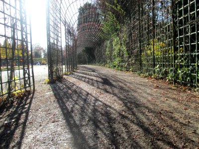 20181111Laubengang Schwetzingen