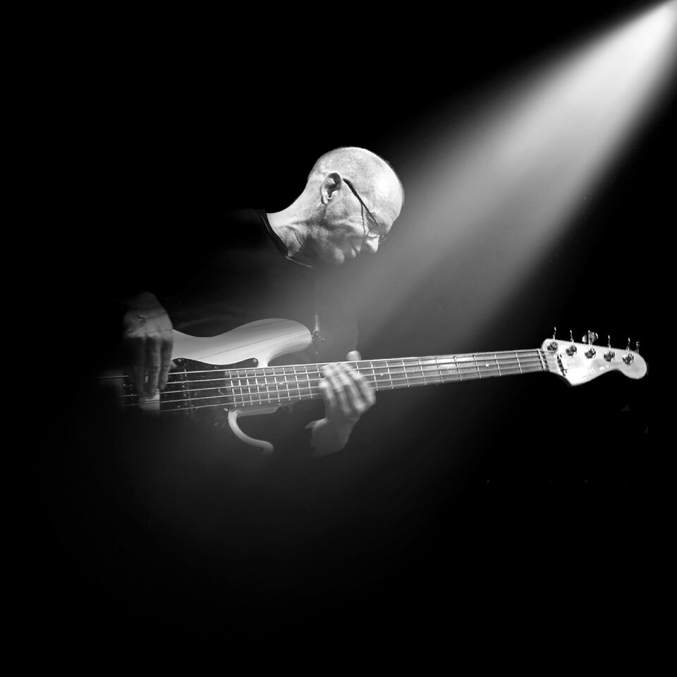 Musician concert bass photo