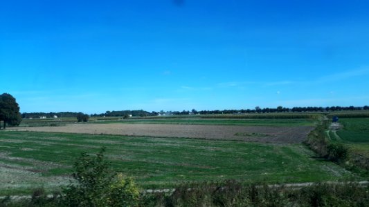 20200918 114011 Agriculture in Łódź Voivodeship