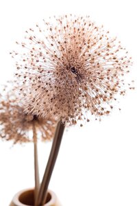 Artificial decoration decor
