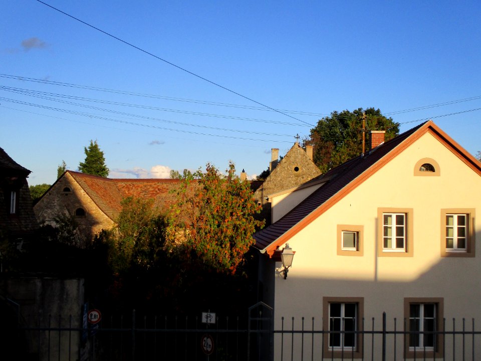 20201010Weinstraße Forst
