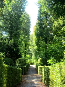 20180826Bosketten Schwetzingen5