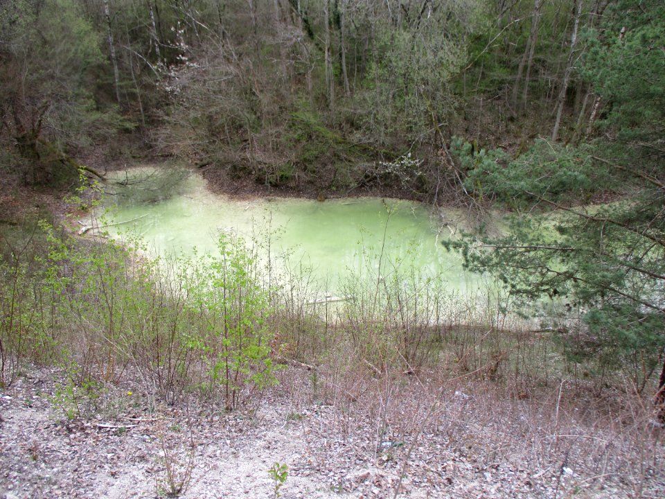 20210414Birzberg03