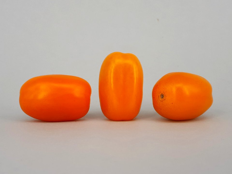 3 x Cherry Bambelo tomato 2017 A4a