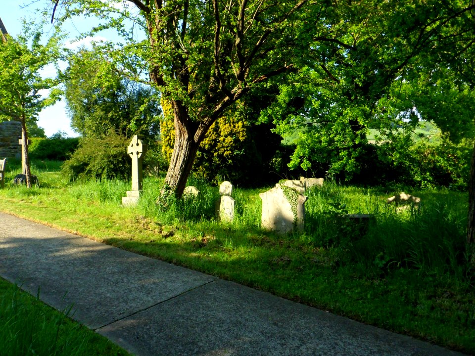 All Saints Church, Sussex Lane, Blackham (May 2013) (Churchyard) (1)