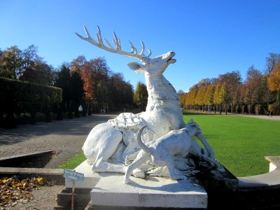 20181111Hirschgruppe1