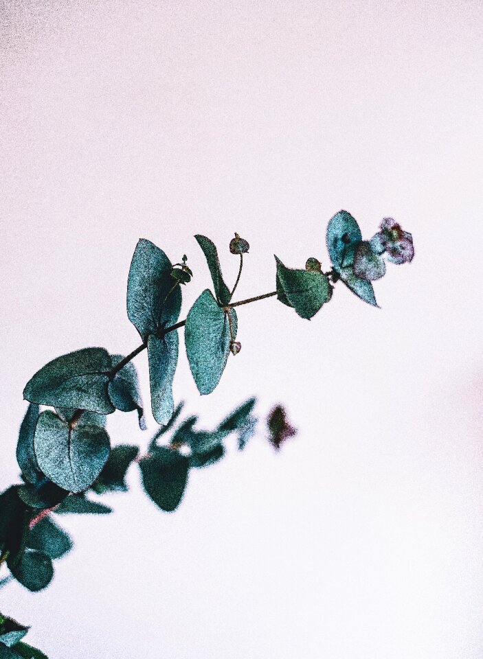 Nature bokeh stem