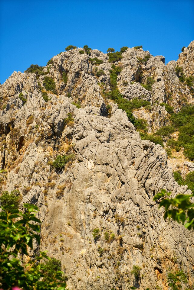 Kennedy landscape stone