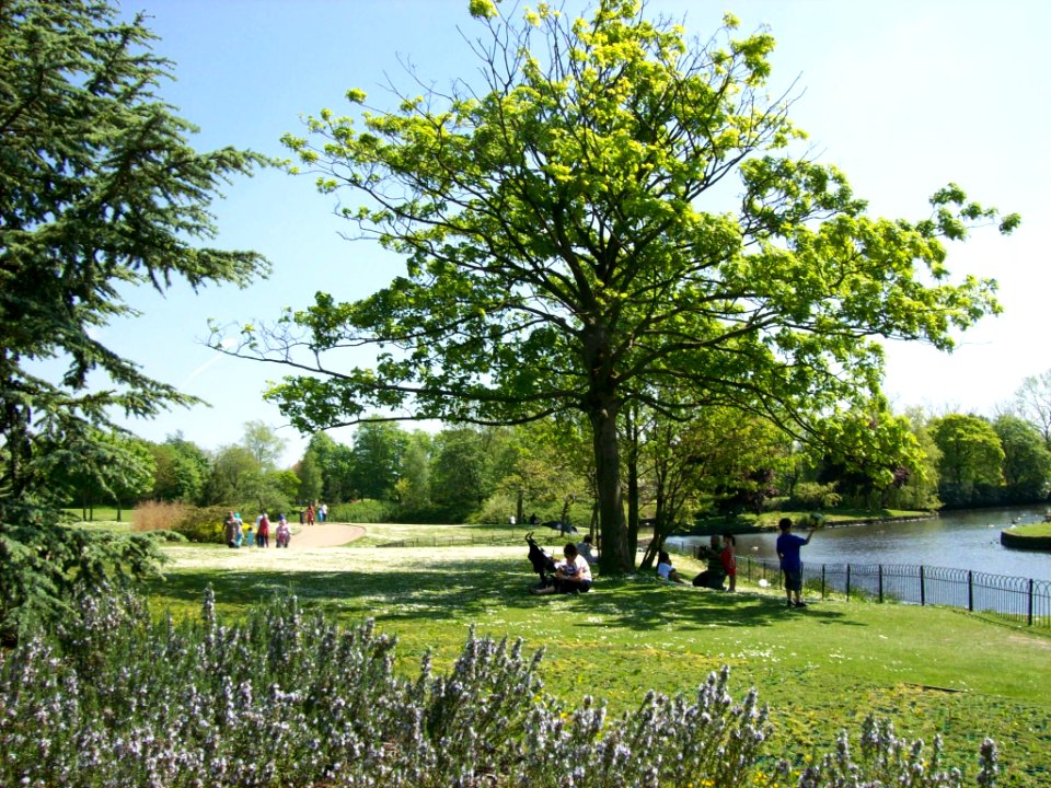 Alexandra Park in spring 2