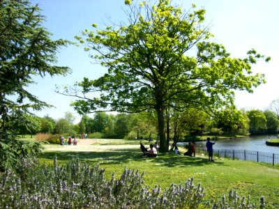 Alexandra Park in spring 2
