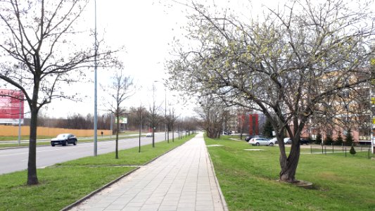 20210403 141103 Kołłątaja Street in Białystok