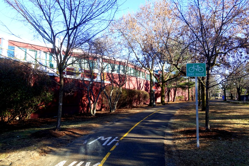 Alewife Linear Park - Cambridge, Massachusetts - DSC09181