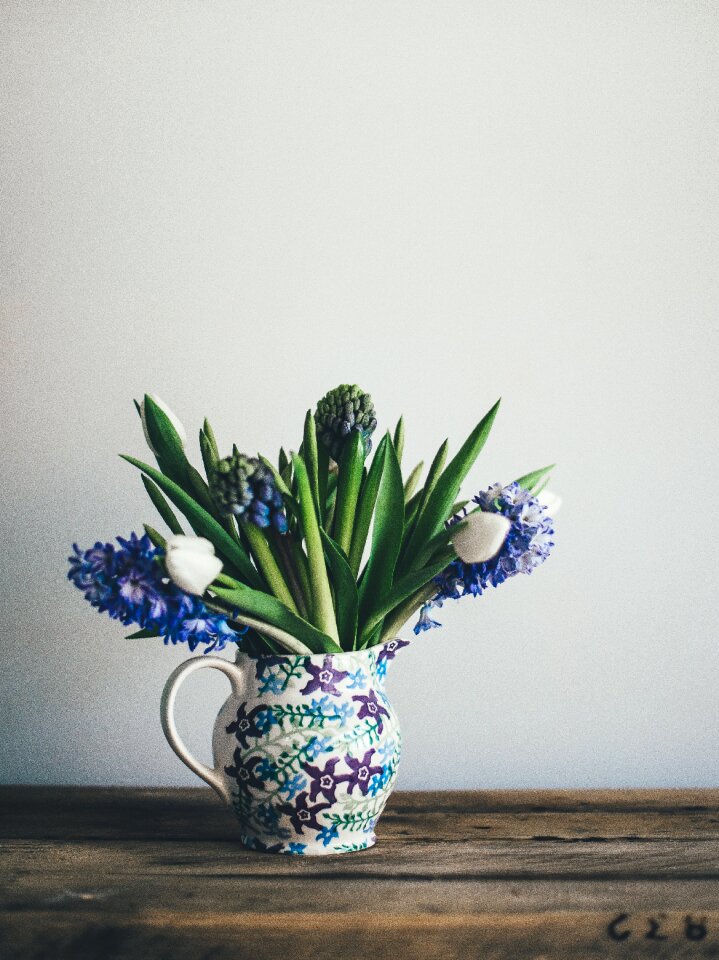 Leaves plant small