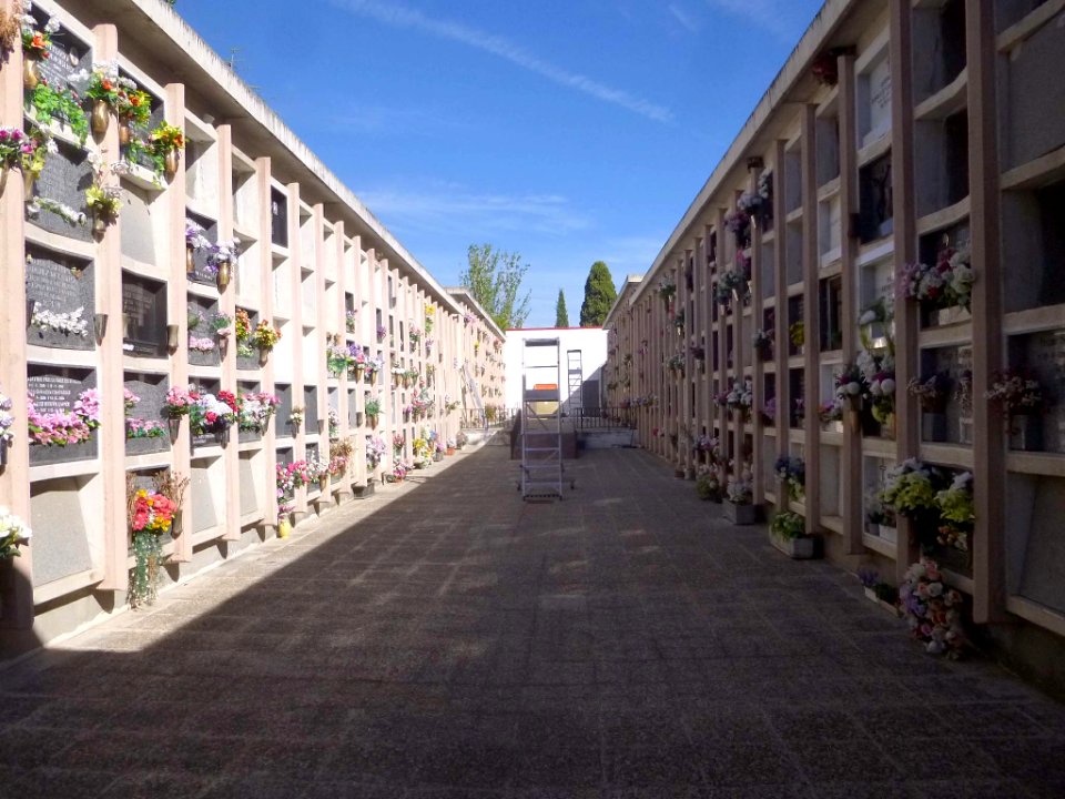 Alcobendas - Urbanización La Moraleja, Cementerio de la Ermita en Soto de la Moraleja 2