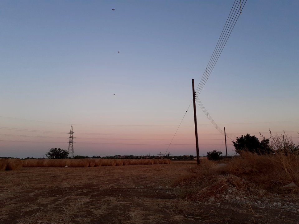 Agriculture in Ypsonas village Limassol Cyprus at sunset 13