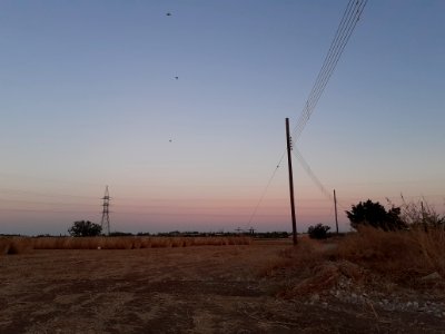 Agriculture in Ypsonas village Limassol Cyprus at sunset 13 photo