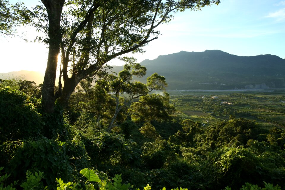 Landscape rural light
