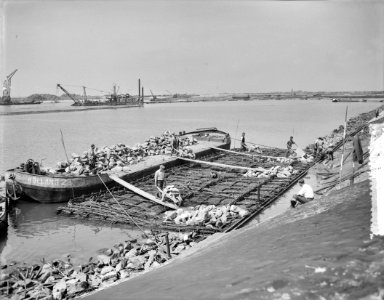 Afsluiting Haringvliet bouw zinkstukken in haven Hellevoetsluis, Bestanddeelnr 907-8999