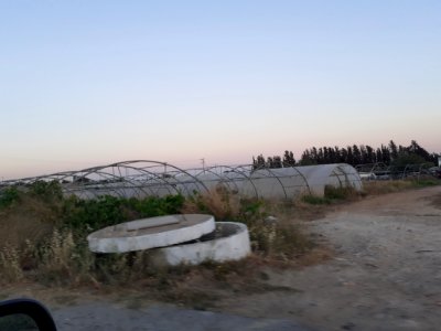 Agriculture in Ypsonas village Limassol Cyprus at sunset 6 photo