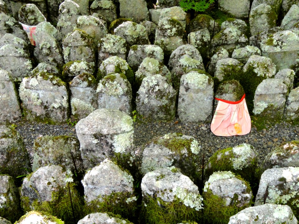 Adashino-nenbutsuji - DSC06342
