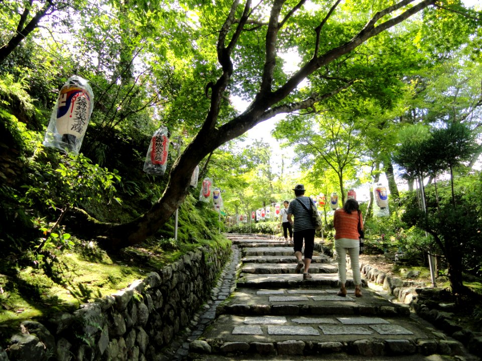 Adashino-nenbutsuji - DSC06311