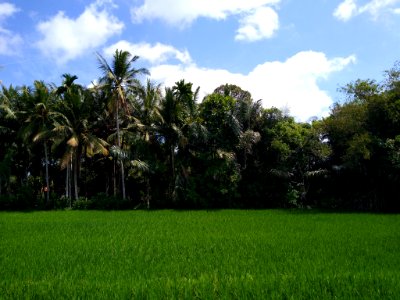 Abiansemal District 1