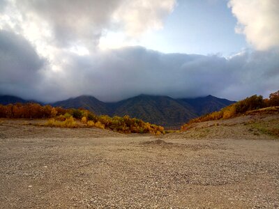 The bushes sky clouds photo