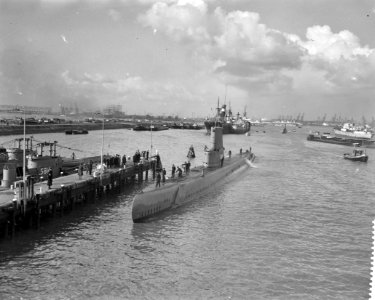 Aankomst Hr Ms Zeeleeuw (rechts) en Walrus (links) in Rotterdam, Bestanddeelnr 909-3969