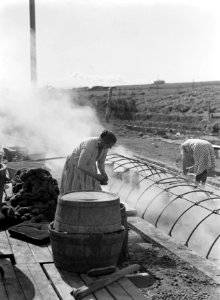 Alafoss, wolfabriek Vrouw hangt gewassen knotten wol in de stoom van een geiser, Bestanddeelnr 190-0320