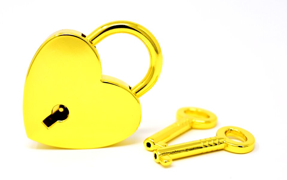 Valentine's day luck symbol