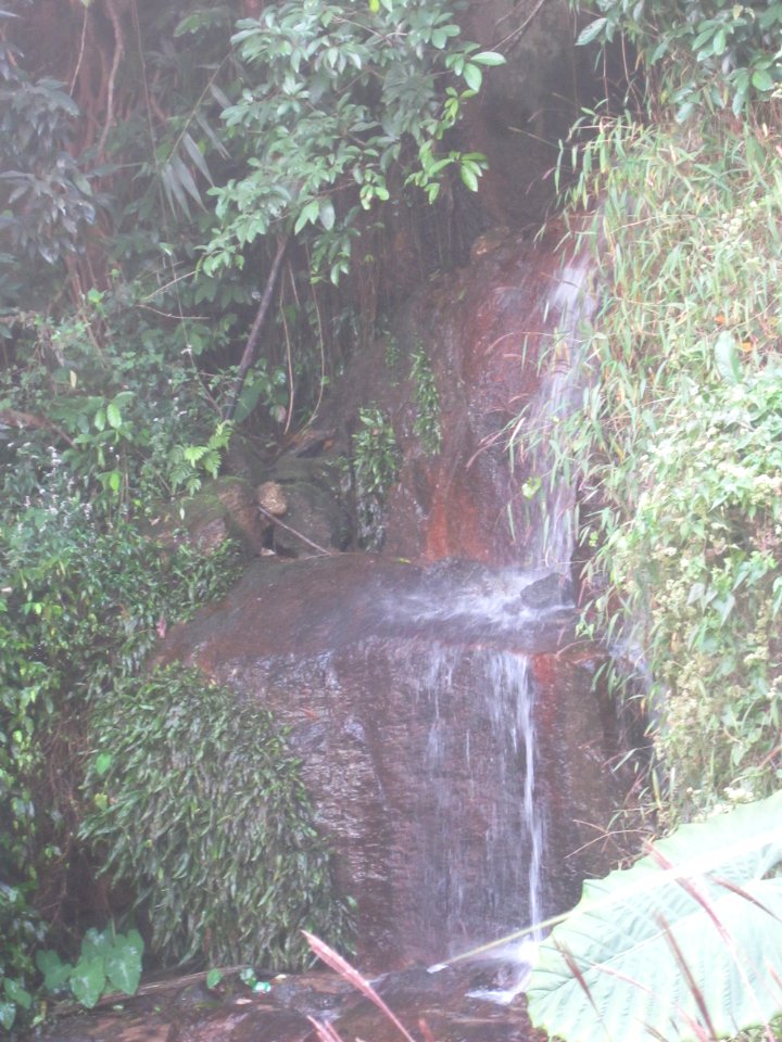 A Clear brook of Mount Yangtai7
