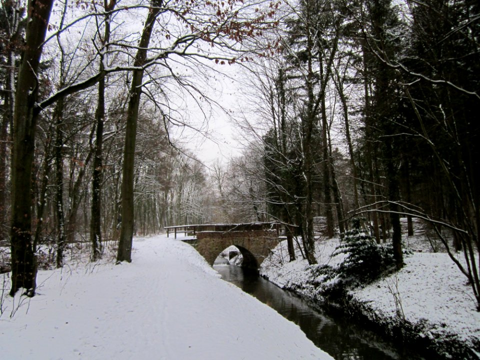 20130117Untere Lusshart11