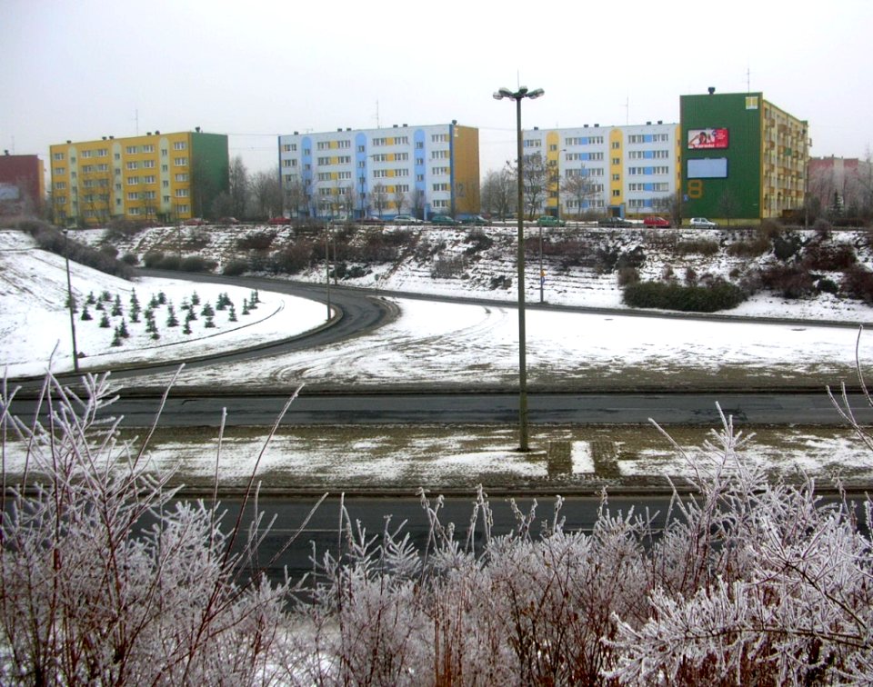 Al JPII Bydg 2006 zima b