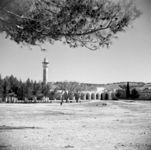 Al Haram esh-Sharif - Tempelberg, Bestanddeelnr 255-5419