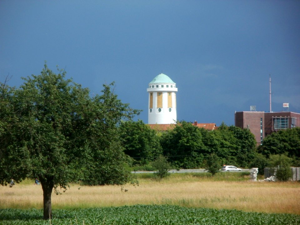 20120611Hockenheimer Rheinbogen3