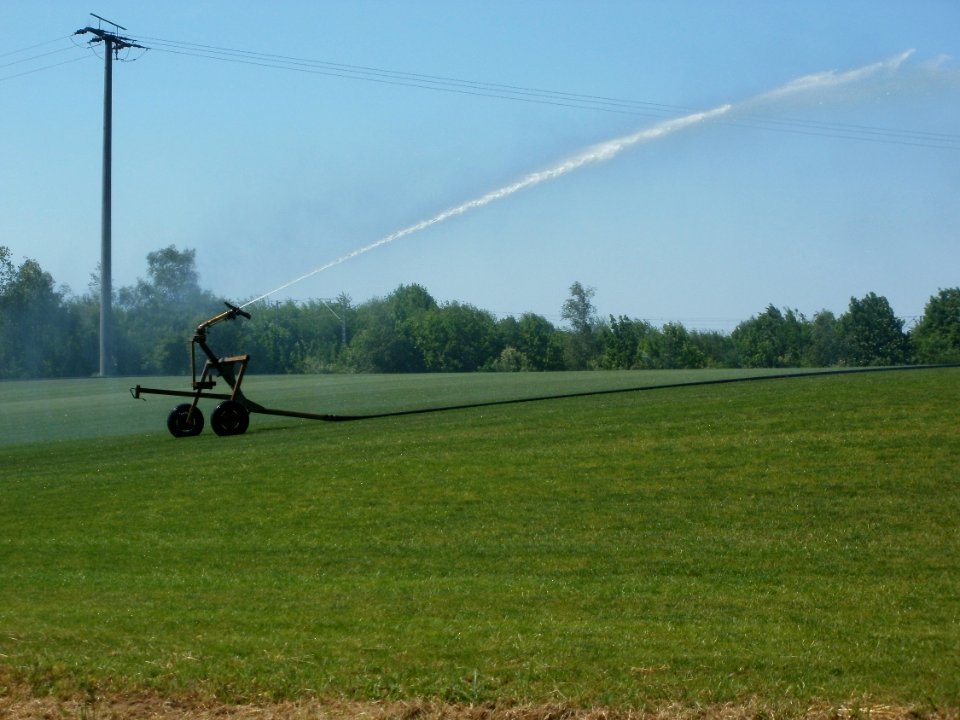 20120526Rasen Altlussheim1