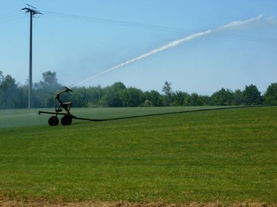 20120526Rasen Altlussheim1