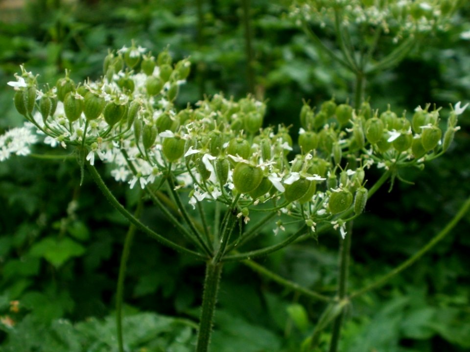 20120619Staden Saarbruecken3