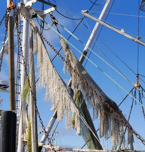 Boom ropes rope ladder photo