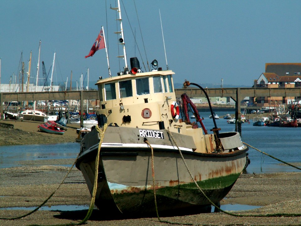 A323 Bridget pic2