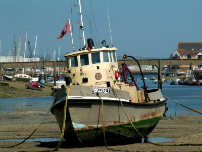 A323 Bridget pic2