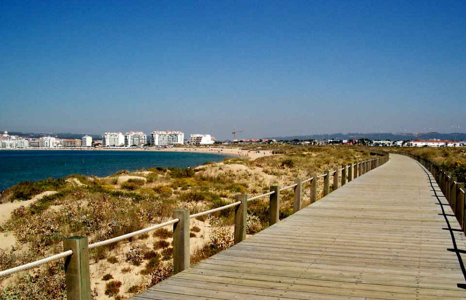 A Golden Beach (131401413)