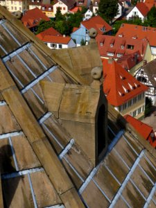 20130908Speyer Dom11