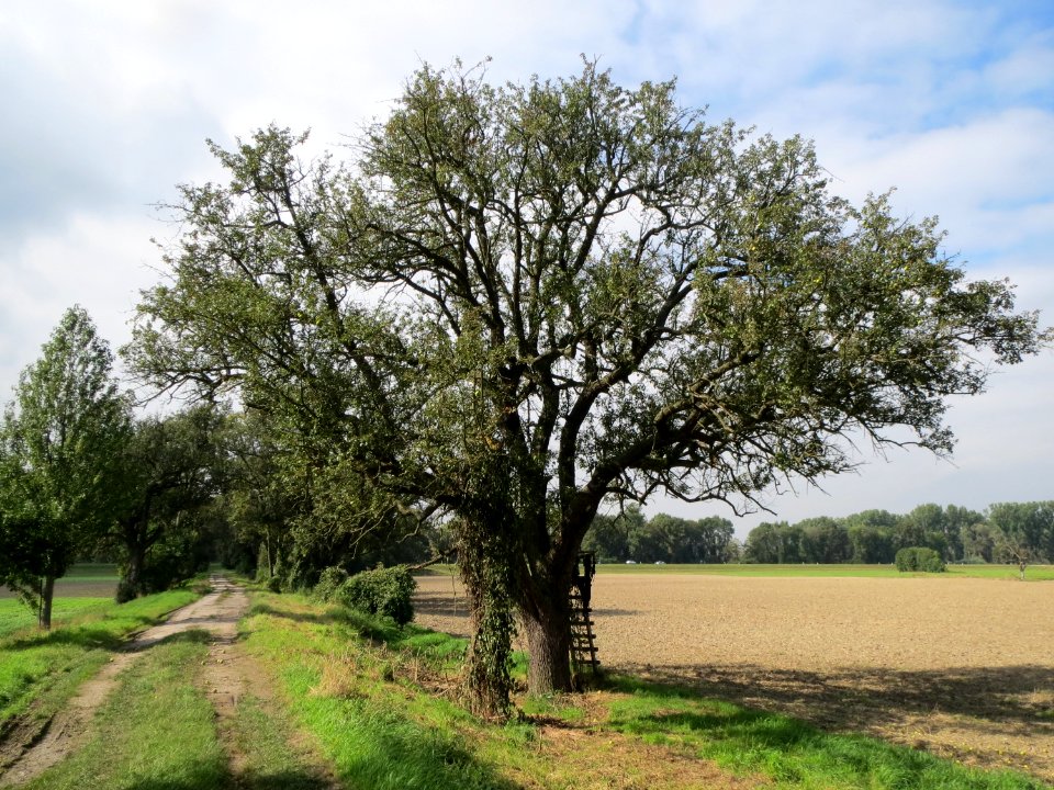 20130922Alte Landstrasse