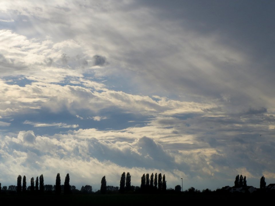 20131015Reilingen2
