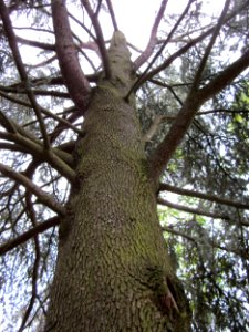 20120828Zeder Staden2