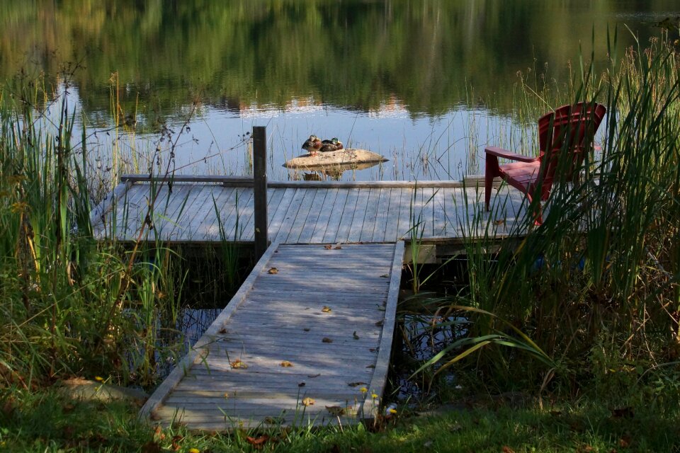 Ducks dock chair
