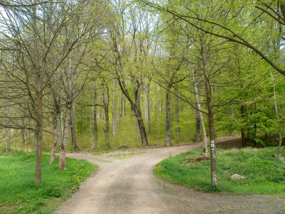 20120429Von der Heydt28