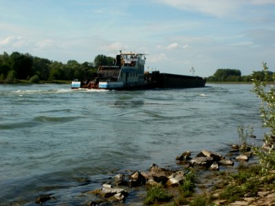 20120510Rhein Altlussheim2